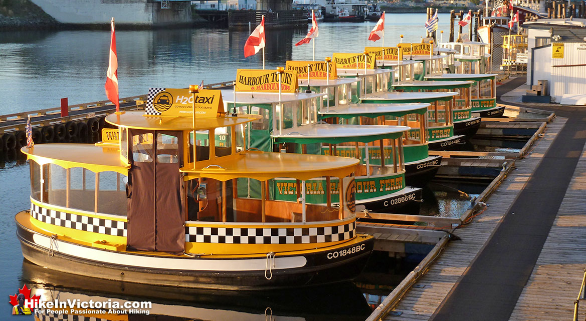 Inner Harbour Boat Tours