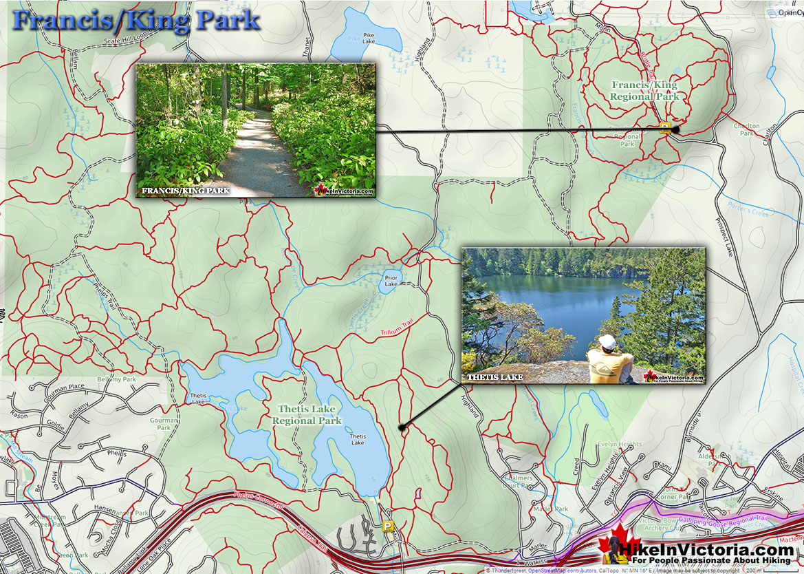 Francis/King Park Map