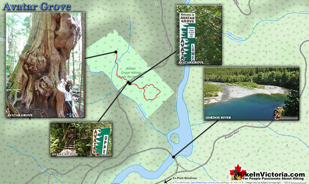 Avatar Grove Trail Map
